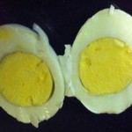 Inside of Egg